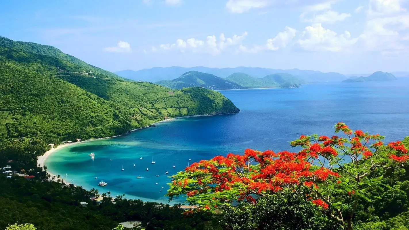 高效高效高效